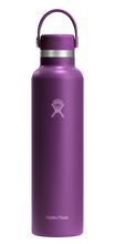 Load image into Gallery viewer, Standard Mouth Beachplum Purple 24oz