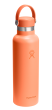 Load image into Gallery viewer, Standard Mouth Nectar Orange 21oz