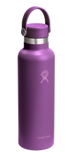 Load image into Gallery viewer, Standard Mouth Beachplum Purple 21oz