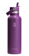 Load image into Gallery viewer, Standard Mouth With Flex Straw Cap Beachplum Purple 21oz