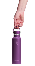 Load image into Gallery viewer, Standard Mouth Beachplum Purple 21oz