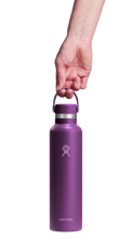Load image into Gallery viewer, Standard Mouth Beachplum Purple 24oz
