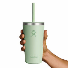Load image into Gallery viewer, Tumbler With Straw Lid Aloe 20oz