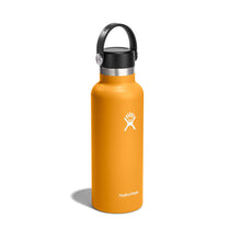 Load image into Gallery viewer, Hydro Flask Micro Mini 6.07Oz Agave
