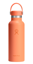 Load image into Gallery viewer, Standard Mouth Nectar Orange 18oz

