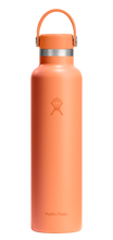 Load image into Gallery viewer, Standard Mouth Nectar Orange 24oz
