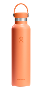 Standard Mouth Nectar Orange 24oz