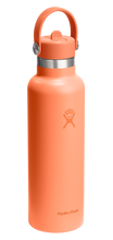 Load image into Gallery viewer, Standard Mouth With Flex Straw Cap Nectar Orange 21oz
