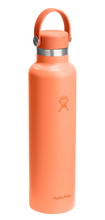 Load image into Gallery viewer, Standard Mouth Nectar Orange 24oz
