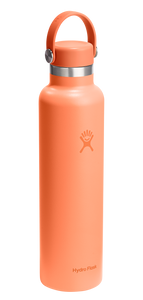 Standard Mouth Nectar Orange 24oz