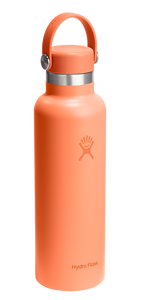 Standard Mouth Nectar Orange 21oz