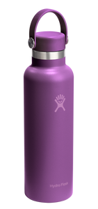 Standard Mouth Beachplum Purple 21oz