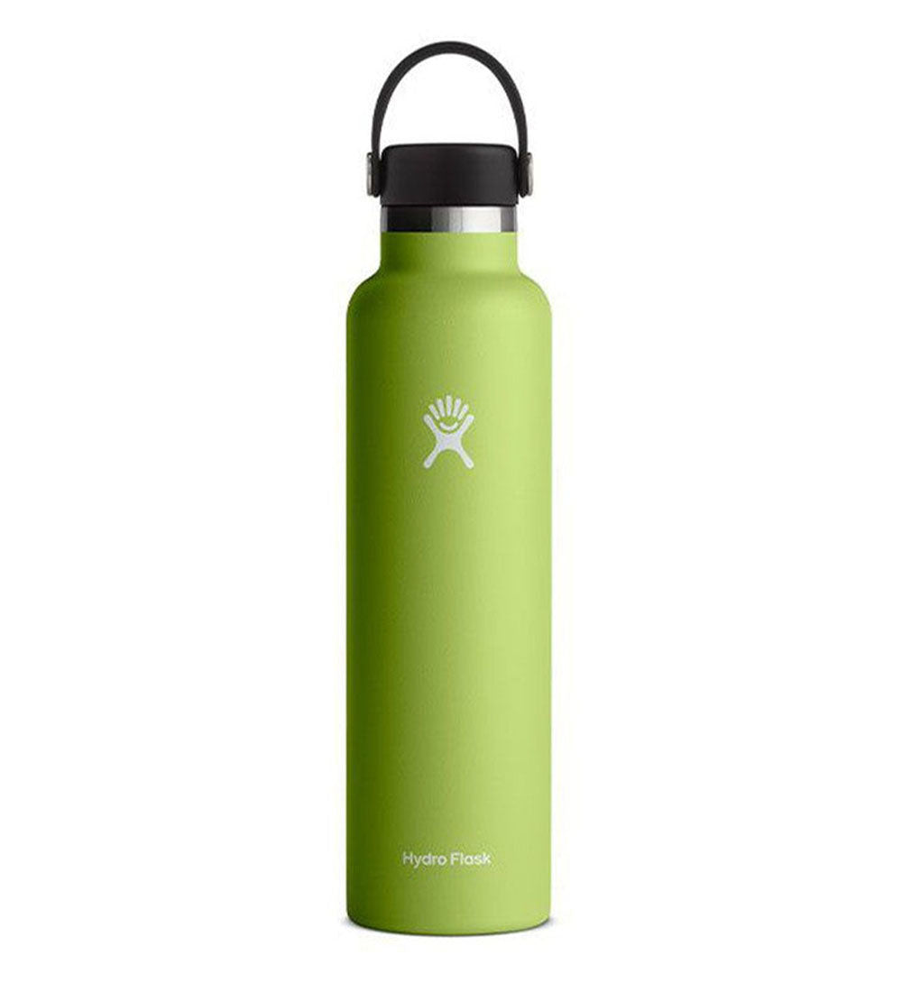 24oz Standard Mouth Seagrass