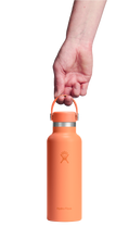 Load image into Gallery viewer, Standard Mouth Nectar Orange 18oz
