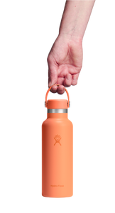Standard Mouth Nectar Orange 18oz