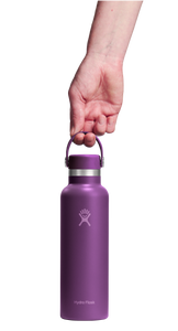 Standard Mouth Beachplum Purple 21oz