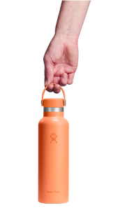 Standard Mouth Nectar Orange 21oz