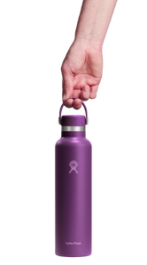 Standard Mouth Beachplum Purple 24oz