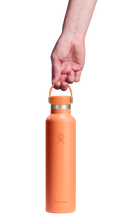 Load image into Gallery viewer, Standard Mouth Nectar Orange 24oz
