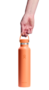 Standard Mouth Nectar Orange 24oz