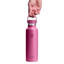 Load image into Gallery viewer, Standard Mouth Reef 21oz
