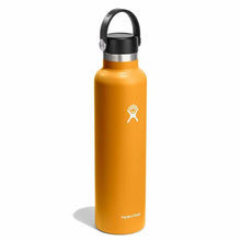 Load image into Gallery viewer, Standard Mouth Fossil 24oz
